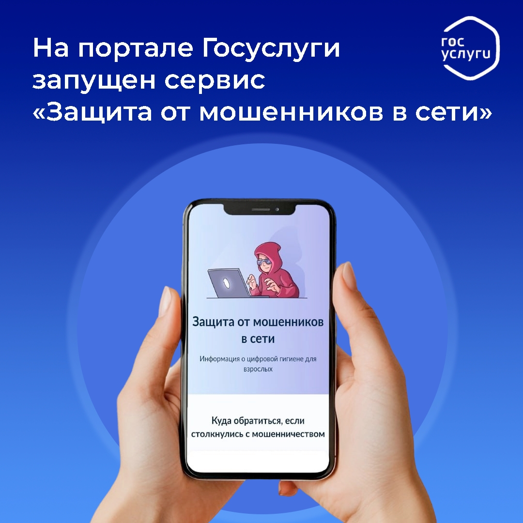 Мош сеть